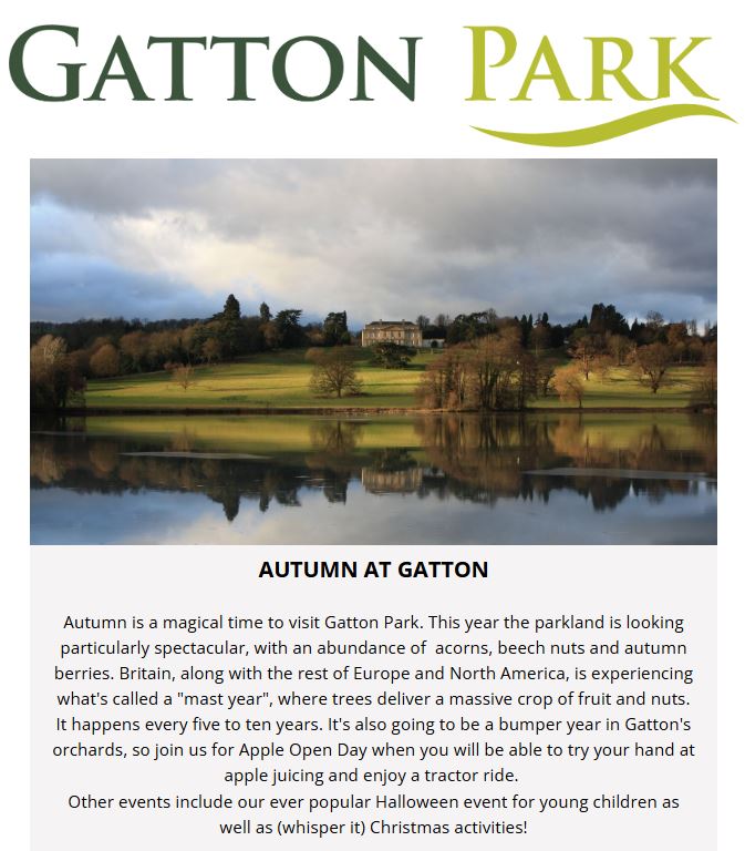 Gatton Park tweet media