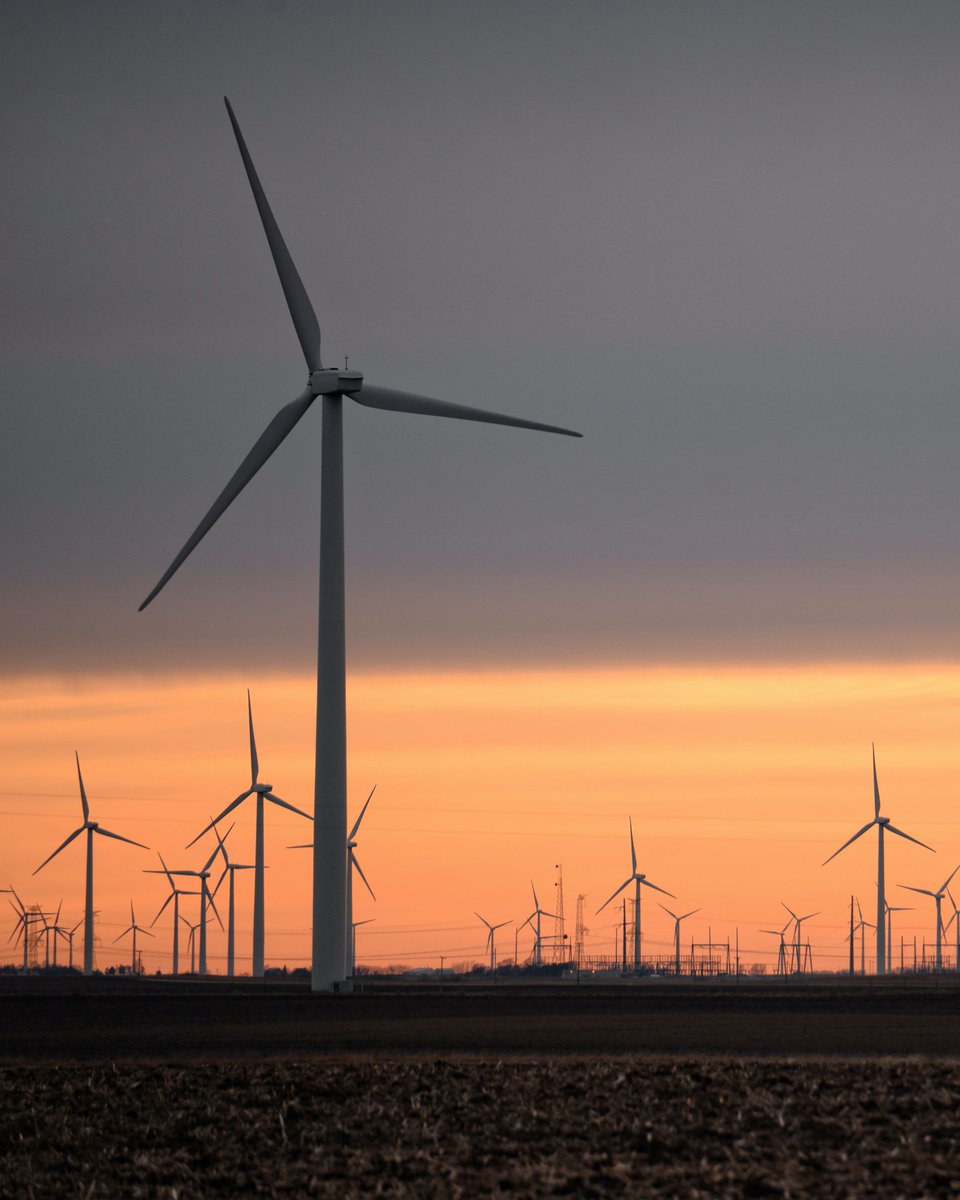 Wendy Project tweet media