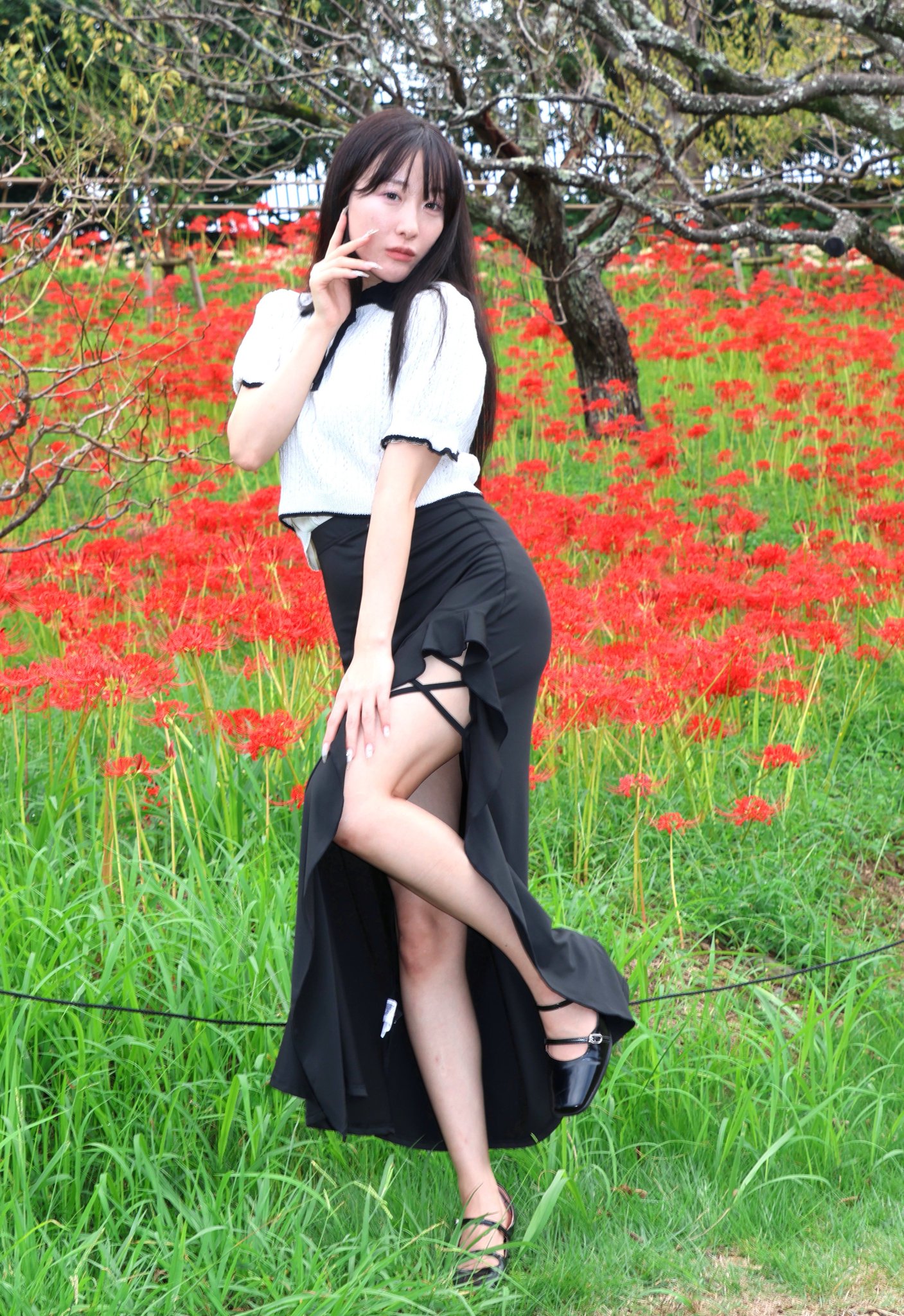 肉質画　【彼岸花】　金 ❤️ 2025.9.29 八女市 ❤️お初の場所❤️ やっと行けました