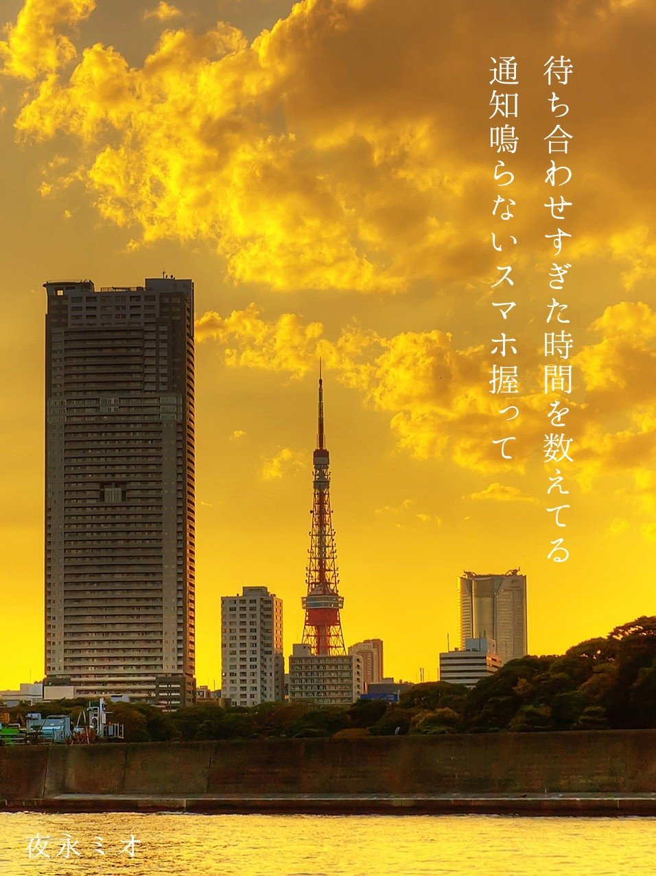 Zen-On (全音)宵待草E 音出しピックアップOK ラグゼ 寧音 | がまかつ