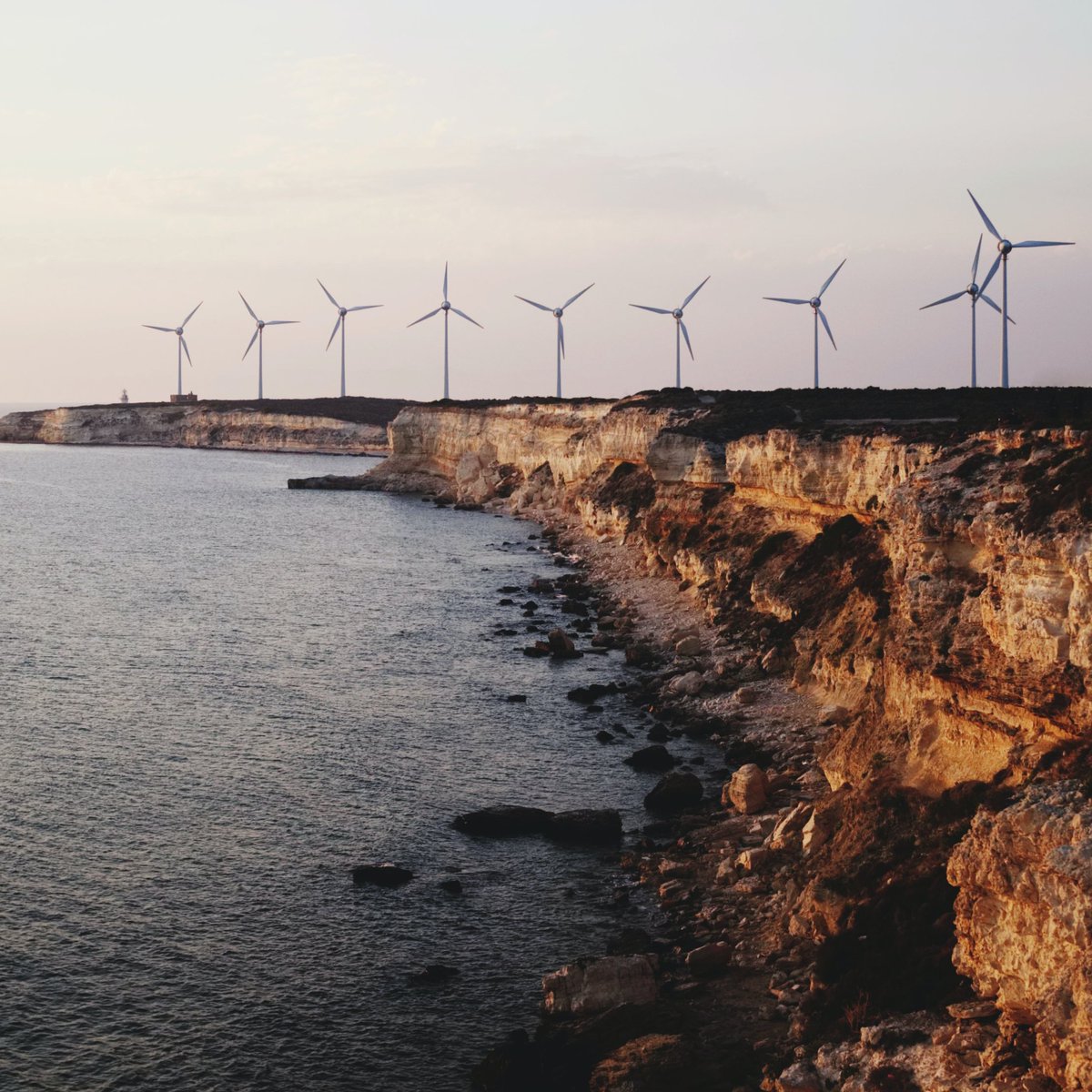 Wendy Project tweet media