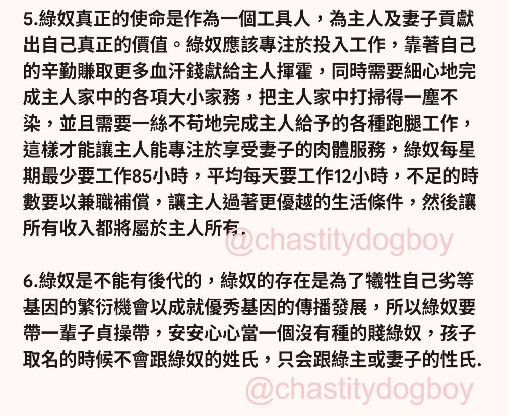 永鎖綠犬 tweet media