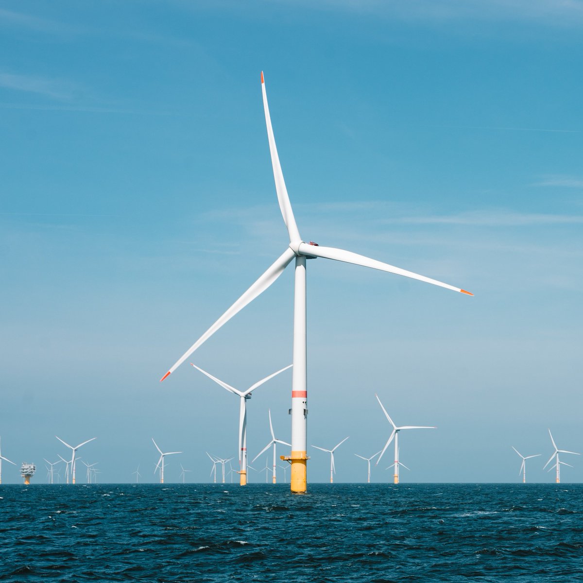 Wendy Project tweet media