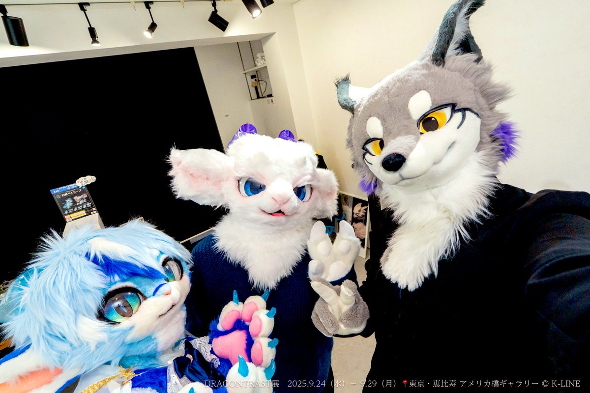 オルゴナイトクマさん　キラキラブルー♡ラピスラズリ ショップス］開運 オルゴナイト ピラミッド 健康 金運
