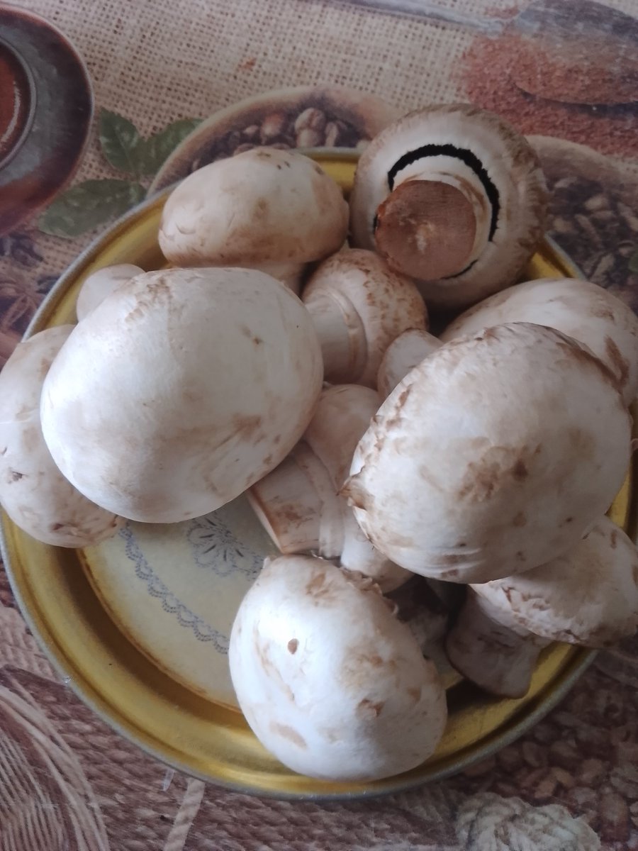 Danaske je ova pijana, ženetinska, ženica malo okrenula raspored
Prvo izdinstana piletina, pa lukcovi pa će šampiJoni