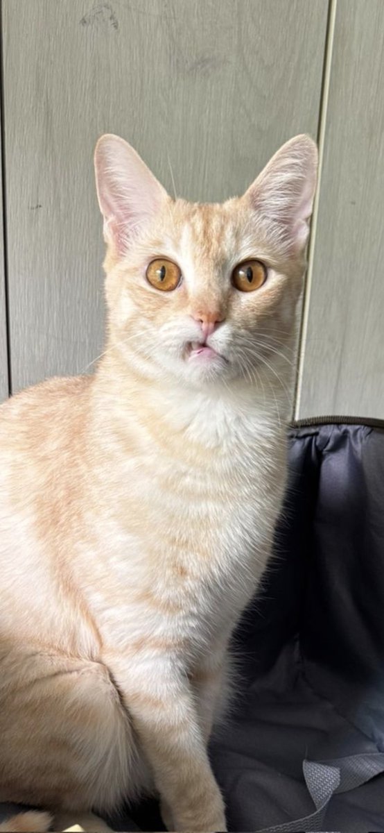 What do we call this expression