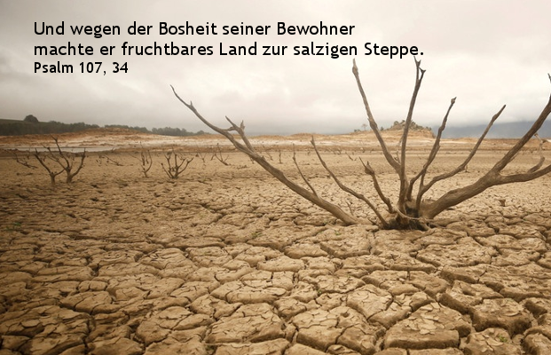 Johannes 3,16 tweet media