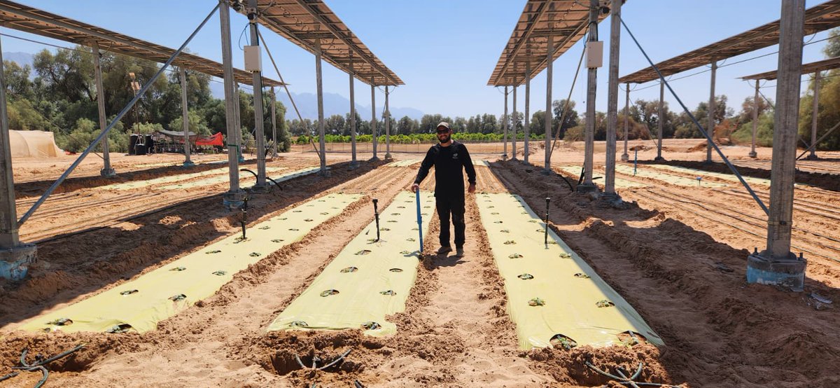 Phytech - Plant Based Farming tweet media