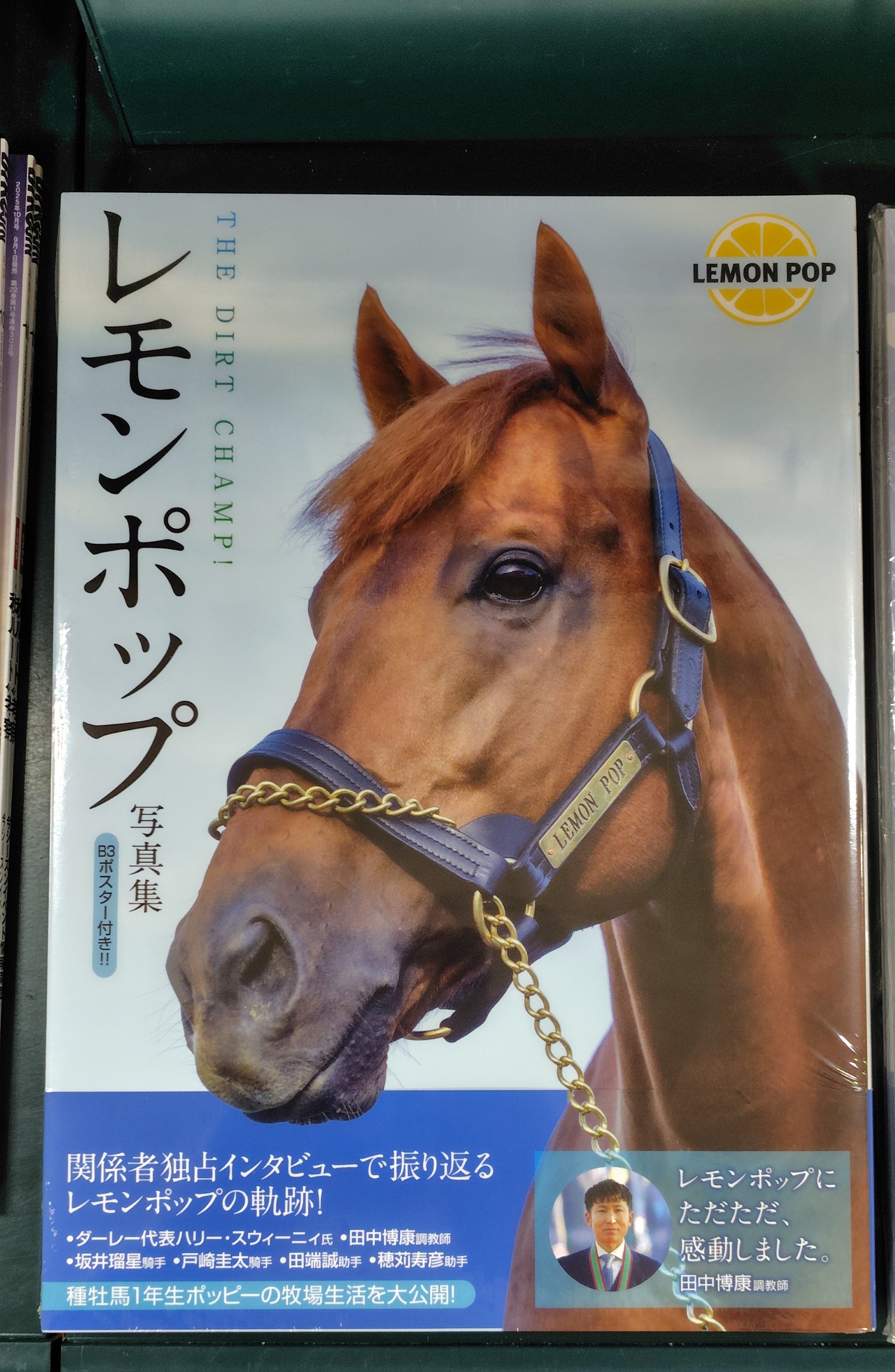 レモンポップ写真集 - Search / X