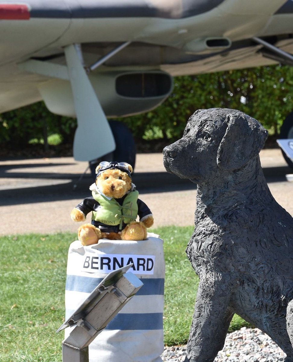 Meet Bernard Bear, the Memorial’s latest recruit, joining forces with BoB the Squadron Dog✈️

Just like the mascots that squadrons once had, BoB the Dog keeps watch at the foot of the Biggin Hill yardarm. Now he’s got Bernard by his side! Buy Bernard: tinyurl.com/mr9y49nm