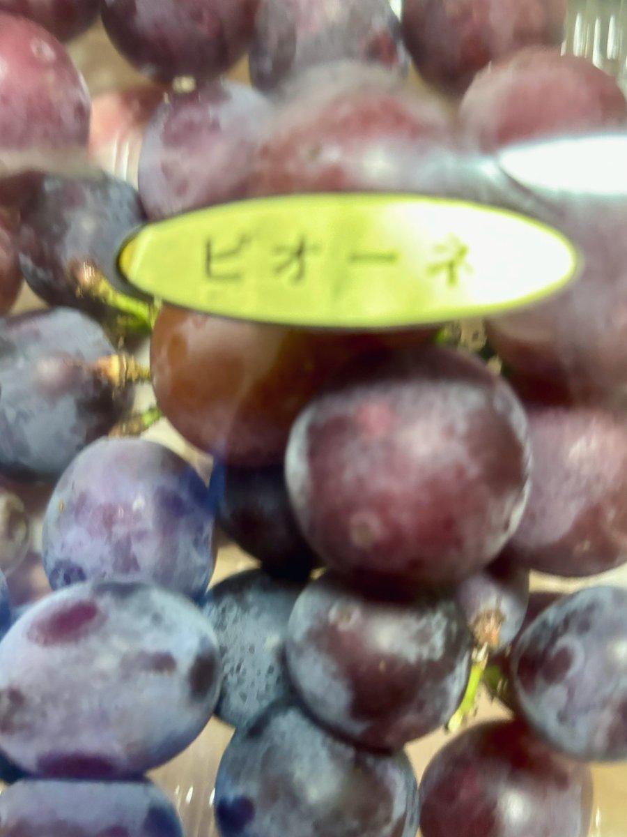 kanda0829's tweet image. ありがたや
🍶🍇
