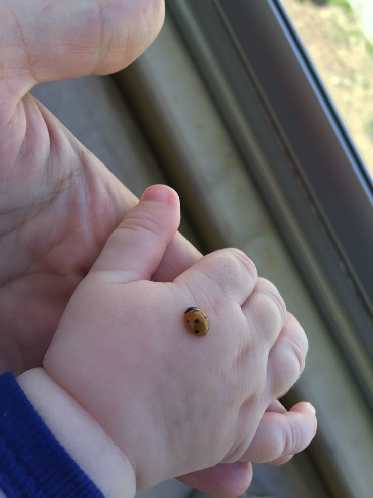 Baby's (@cuddleecute) on Twitter photo 