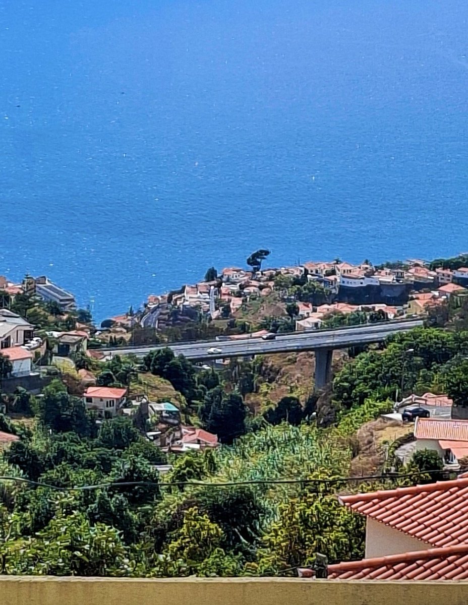 Happy Monday! 🥳
#Funchal from a hill.
#MondayMotivation
#MadeiraIslands🏝