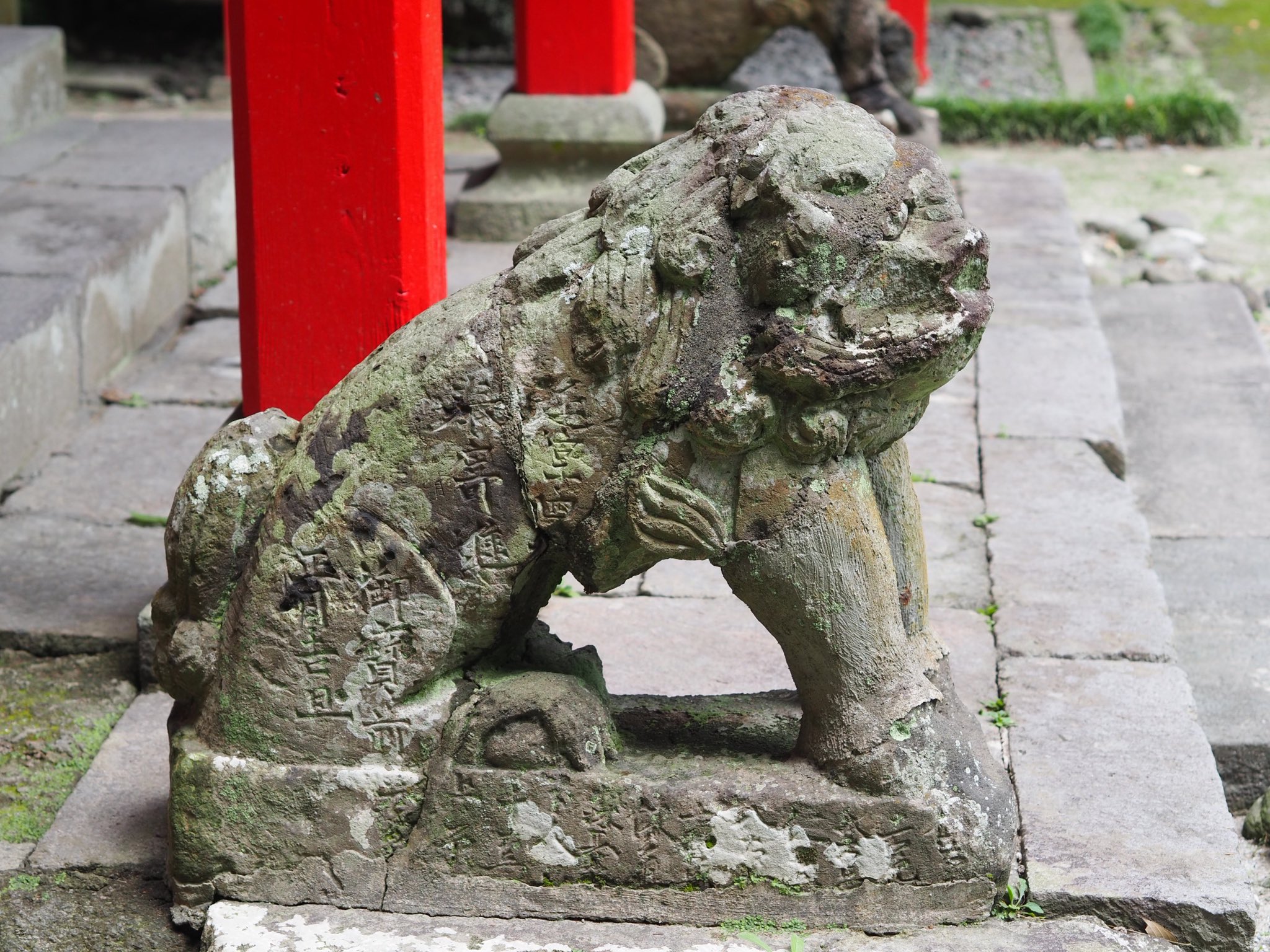 江戸時代　古伊万里　可愛い犬　狛犬 伊万里 赤絵 狛犬 唐獅子 菊花模様 尺皿 - 生活骨董と古布の