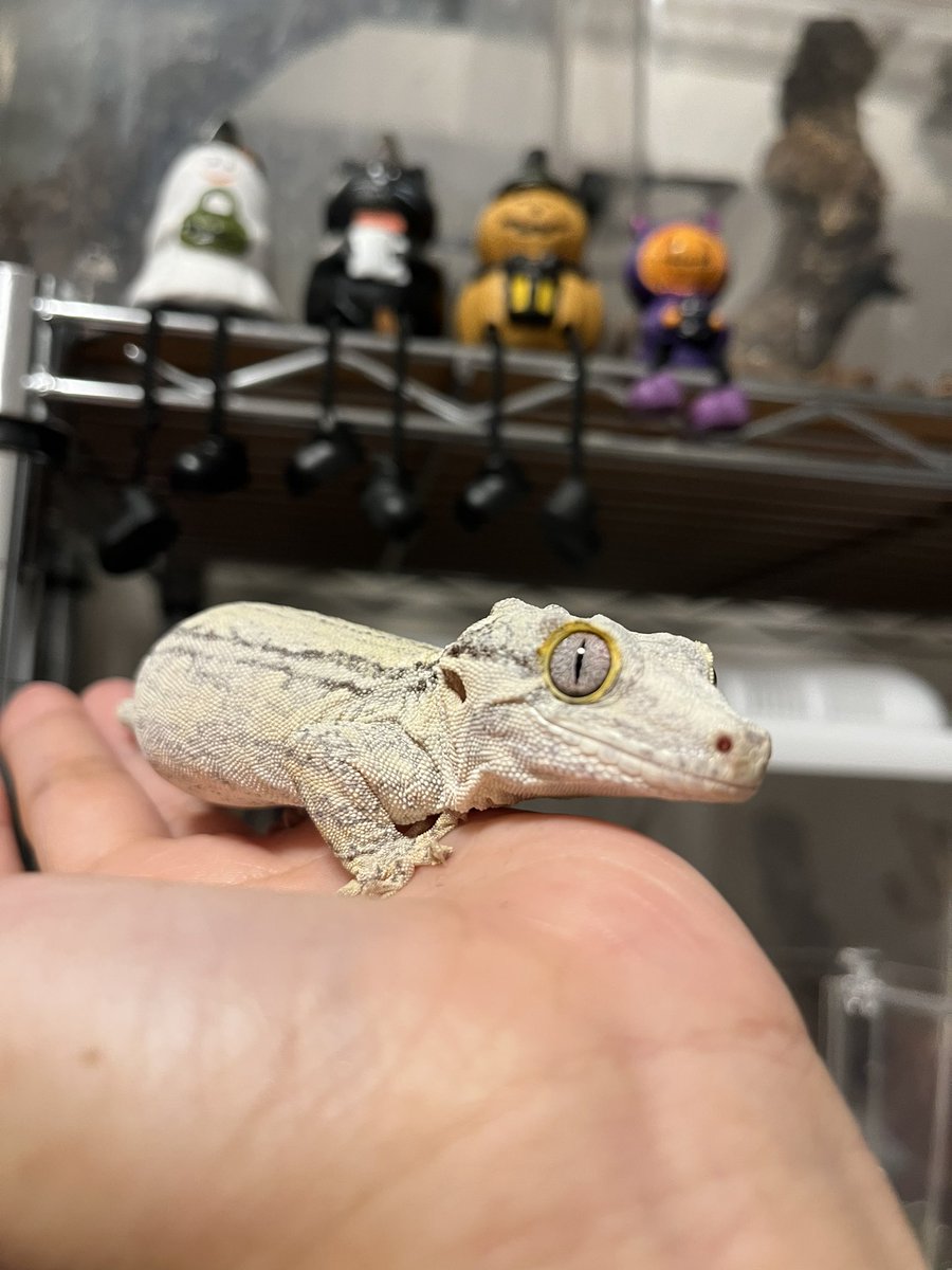 週末の楽しみが増えていく〜💓
髪切るか伸ばすか悩むな