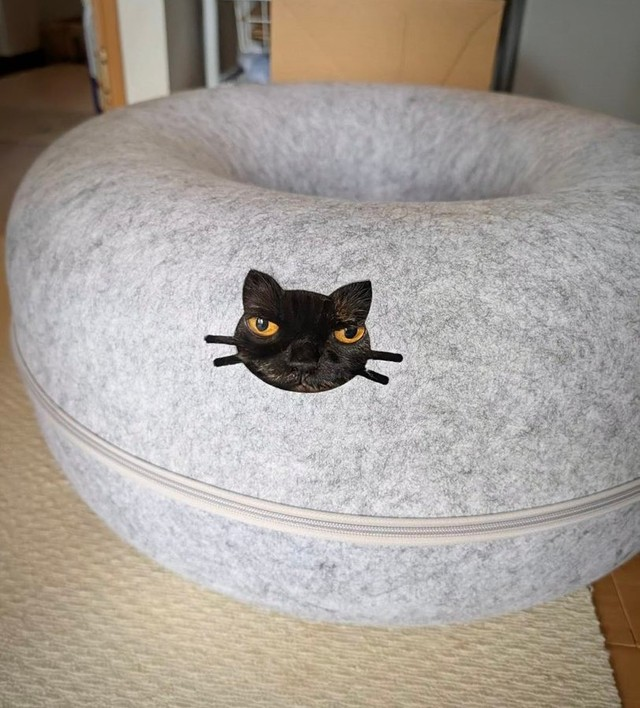 livedoornews's tweet photo. 【フィット】「刺繍かと思ったら…」穴から覗く黒猫の違和感のなさに驚き
https://t.co/PhGvgRkZGM

猫用トンネルの穴から、こちらを覗く黒猫。猫の顔の形の穴がぴったりフィットした姿には、「おめめの大きい黒猫さんの刺繍かと」「目の刺繍独特～っと思ったらナマネコ！」などの声が上がった。 https://t.co/36axVWdcIg
