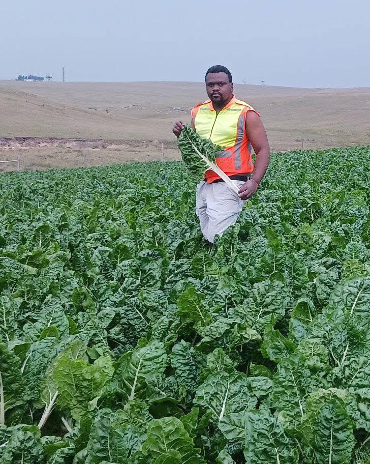 LeratoPillayZA's tweet photo. Agriculture is life https://t.co/b8UbplavBF
