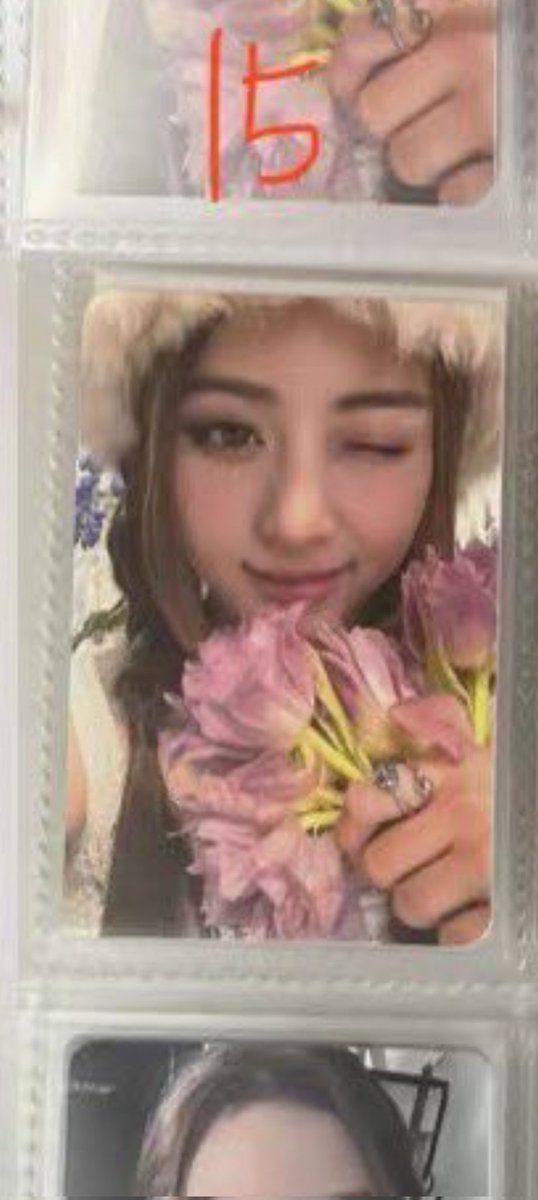 ara ʚɞ tweet media