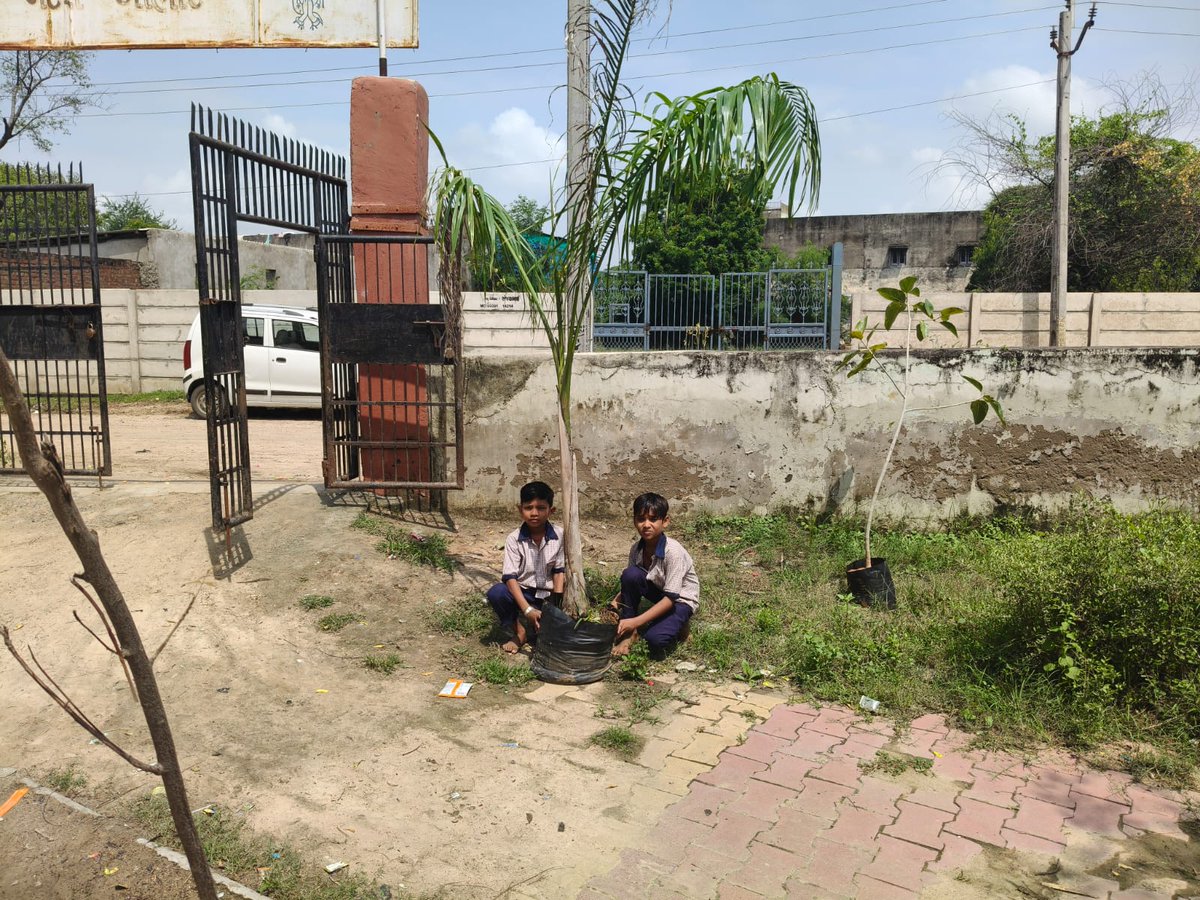 "સ્વચ્છતા હિ સેવા -૨૦૨૫" અભિયાનના ભાગરૂપે અત્રેના જિલ્લાના સાણંદ તાલુકામાં ગ્રામ્ય કક્ષાએ શાળાઓ અને આંગણવાડી કેન્દ્રો ખાતે વૃક્ષારોપણ કાર્યક્રમ યોજવામાં આવ્યો. 
#SHS2025 
#SwachhataHiSeva2025 
#Swachhotsav
<a href="/CMOGuj/">CMO Gujarat</a>  <a href="/SwachhBharatGov/">Swachh Bharat Urban</a>  <a href="/SBMR_Gujarat/">Swachh Bharat Mission- Gramin, Gujarat</a>
 <a href="/swachhbharat/">Swachh Bharat Mission - Grameen</a>  <a href="/MoHUA_India/">Ministry of Housing and Urban Affairs</a>