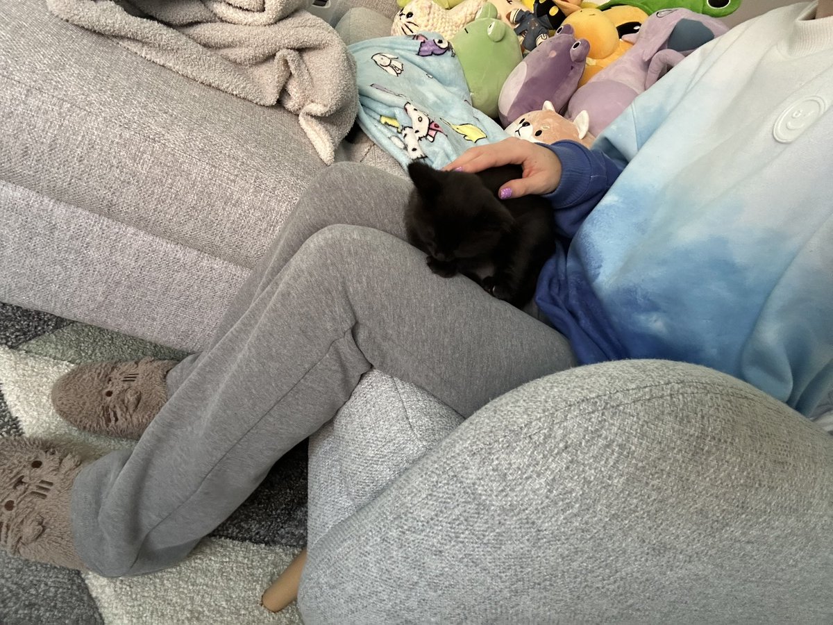 MelzeliaTV's tweet image. Vivi just got his microchip and first set of vaccinations! He was so calm and didn’t make a peep. Such a good boy🥺

He peaced out as soon as we got home 😂

#blackcat #blackkitten #voidkitty #kitten #voidkitten #cat #CatsofTwittter #KittensOfTwitter