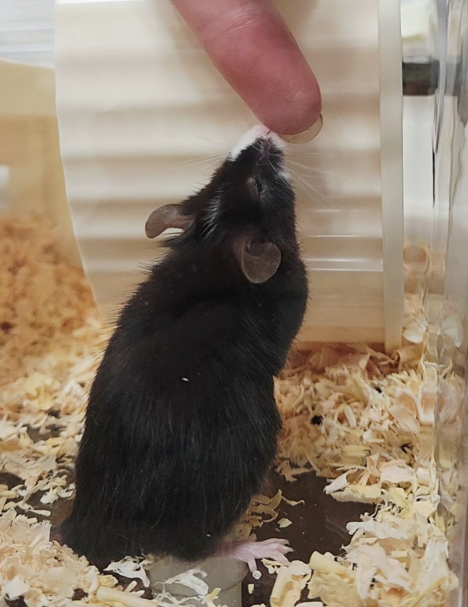 아무리 힘든 하루도 제인 도만 있다면...