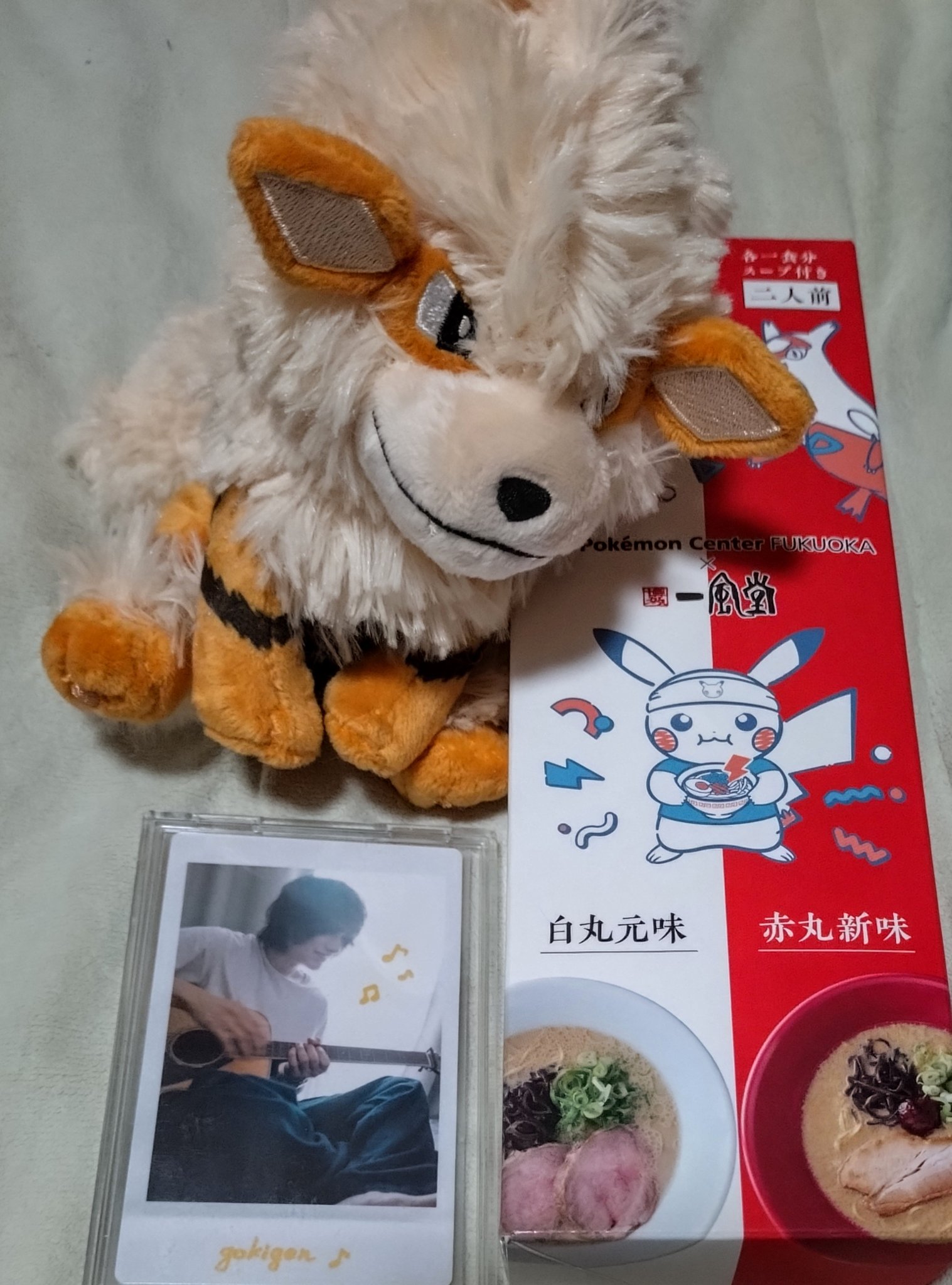 ワ*A様 #ゆんの気まぐれオークション　（梅）　ガーディ　ウインディ ワ*A様 #ゆんの気まぐれオークション （梅） ガーディ ウインディ