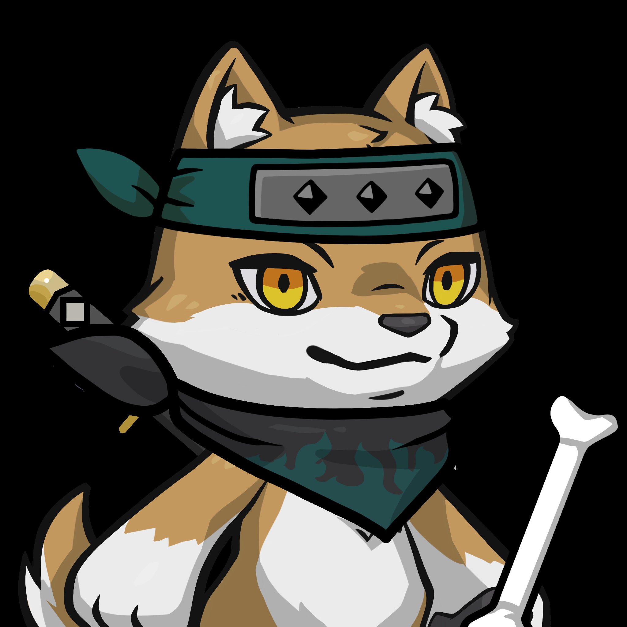 CryptoNinja CNPカード CNP | CryptoNinja Partners
