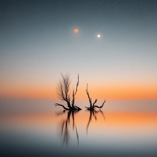 •
—————— 🩵🩵🩵🩵
“Waiting is painful. Forgetting is painful. But not knowing which to do is the worst kind of suffering.”
   🖋️Paulo Coelho 
—————————— 🩵🩵🩵🩵
•
   ©️fernlichtsicht