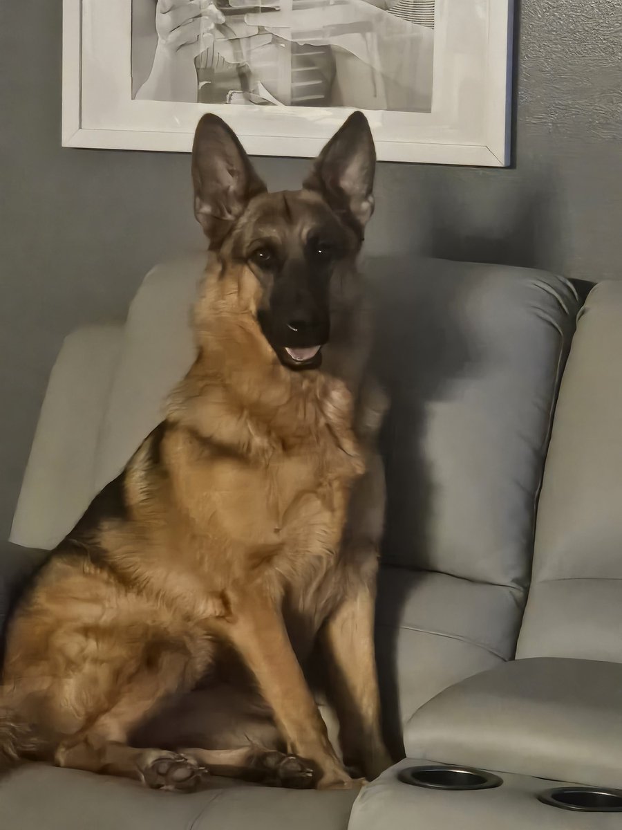 ForyRad's tweet image. My beautiful girl♥️