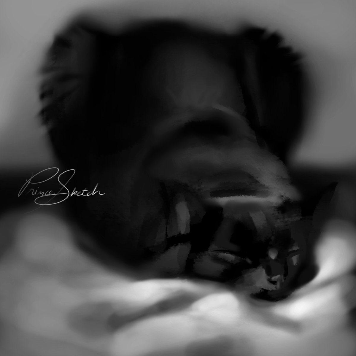 princendonga's tweet image. I painted someone's cat ...digitally 🧍‍♂️.... and I like it......🧍‍♂️ so I'm showing it to you.....🧑‍🎨