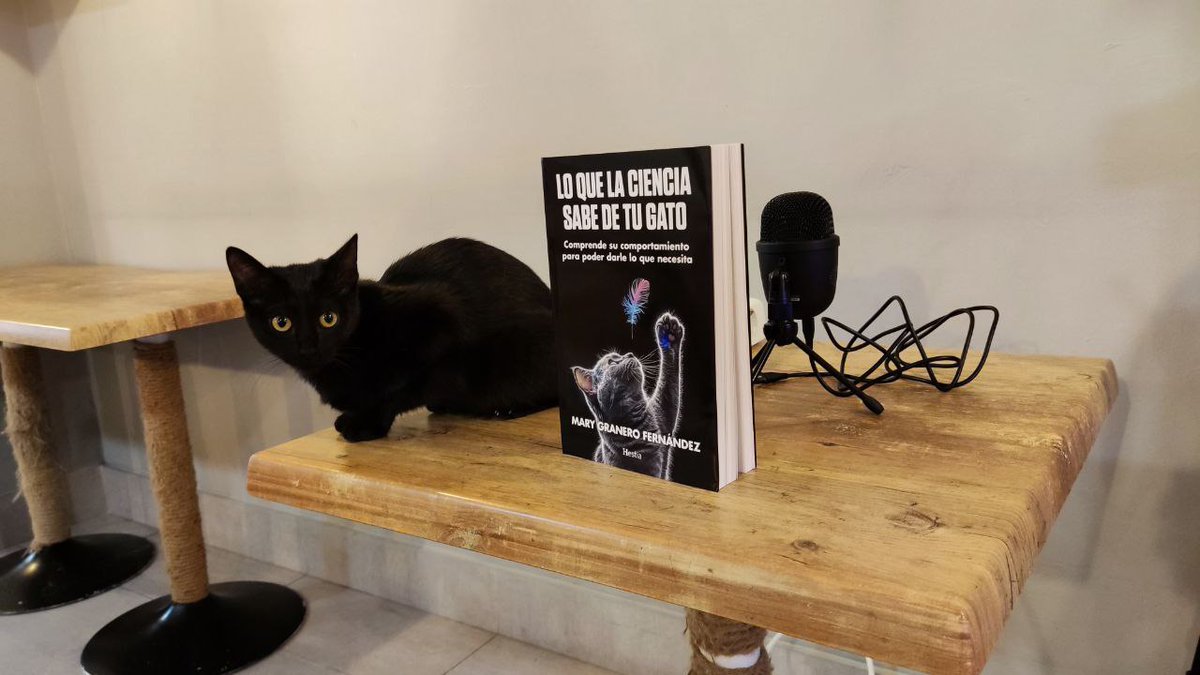 Gracias a todos los que os acercasteis ayer por La Gatera Cat Café para la presentación de "Lo que la ciencia sabe de tu gato". 

Muchas gracias por vuestro interés y vuestro apoyo

Y muchas gracias a Isabel de La Gatera por su colaboración por cedernos el espacio