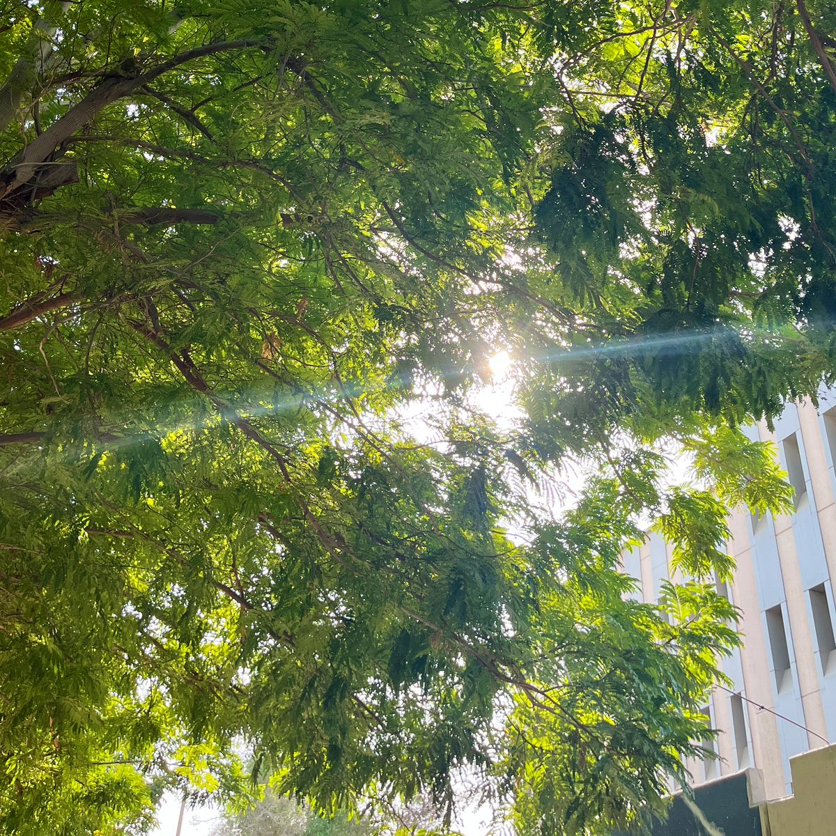 ديـنا الشهري | 🪷ACCT tweet media