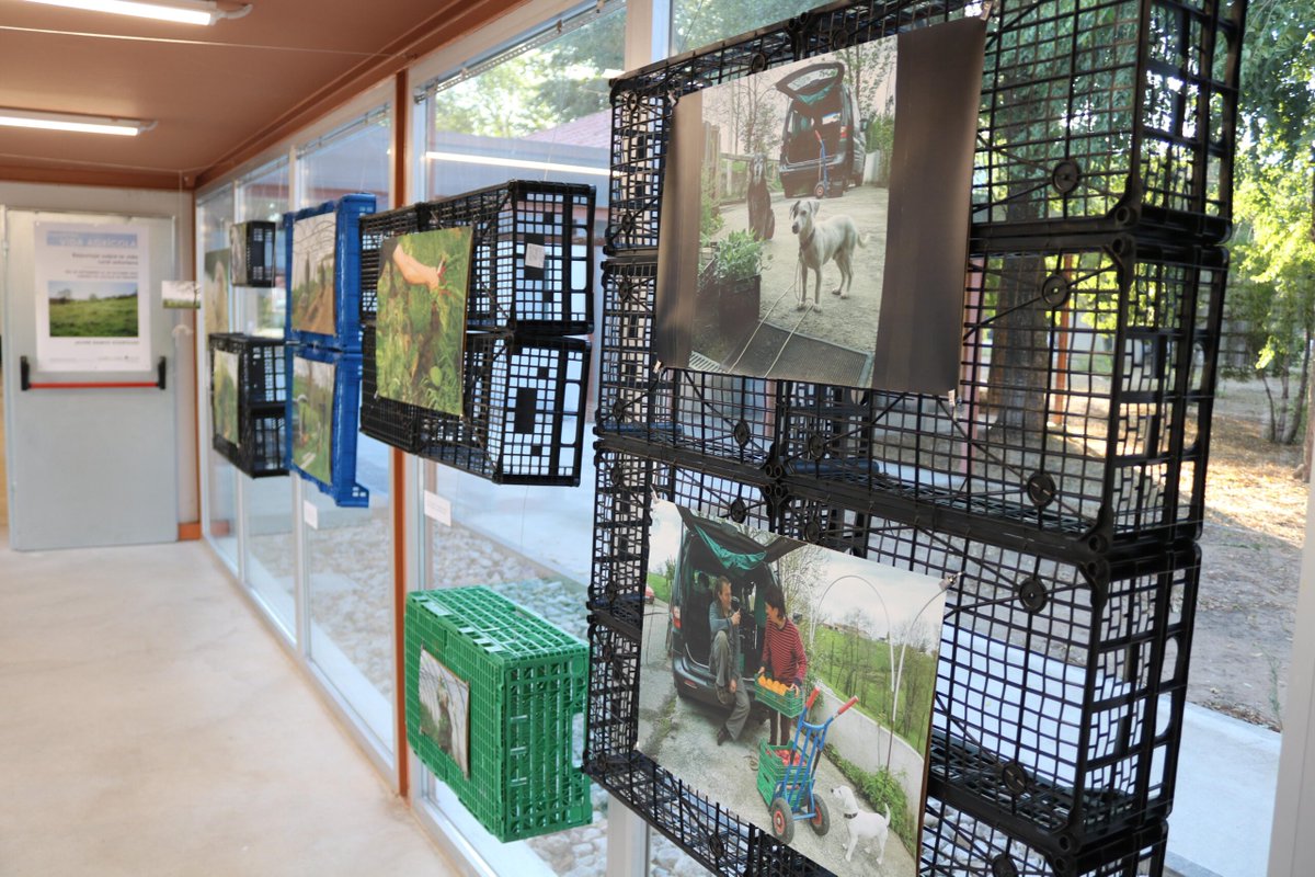 El viernes 26 de septiembre a las 19 h se inauguraron dos exposiciones en La JUVE Centro FIA retomando la actividad artística después del verano.  “VIDA AGRICOLA” de Javier Ramos Rodríguez y  “ROPART ” es una exposición colectiva que agrupa a 24 artistas

Hasta el 24 de octubre