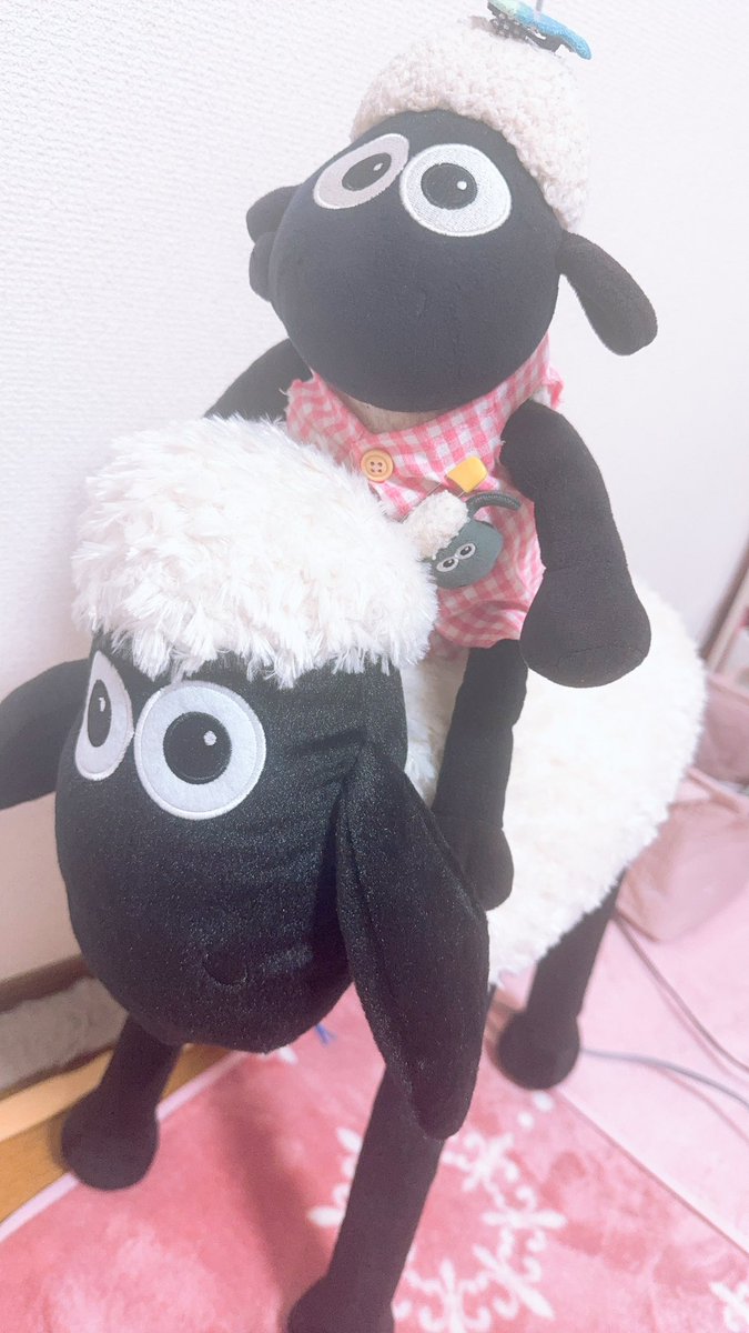 りぃちゃん🌙*.🐑ぐみ🎯 (@Richan_20xx) / X