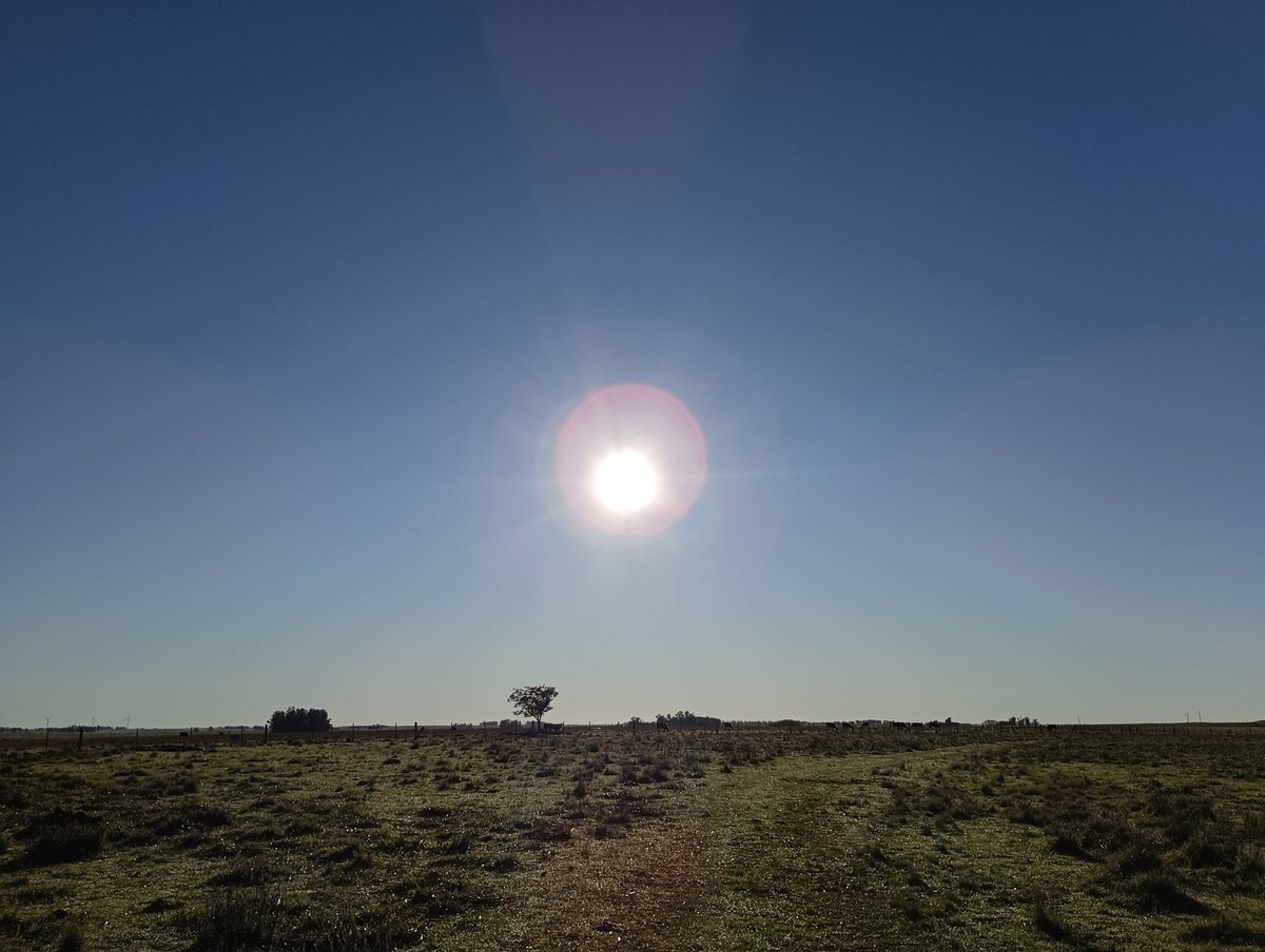 Carlitos Duarte 🇺🇾🇺🇾 (@cardugall79) on Twitter photo 