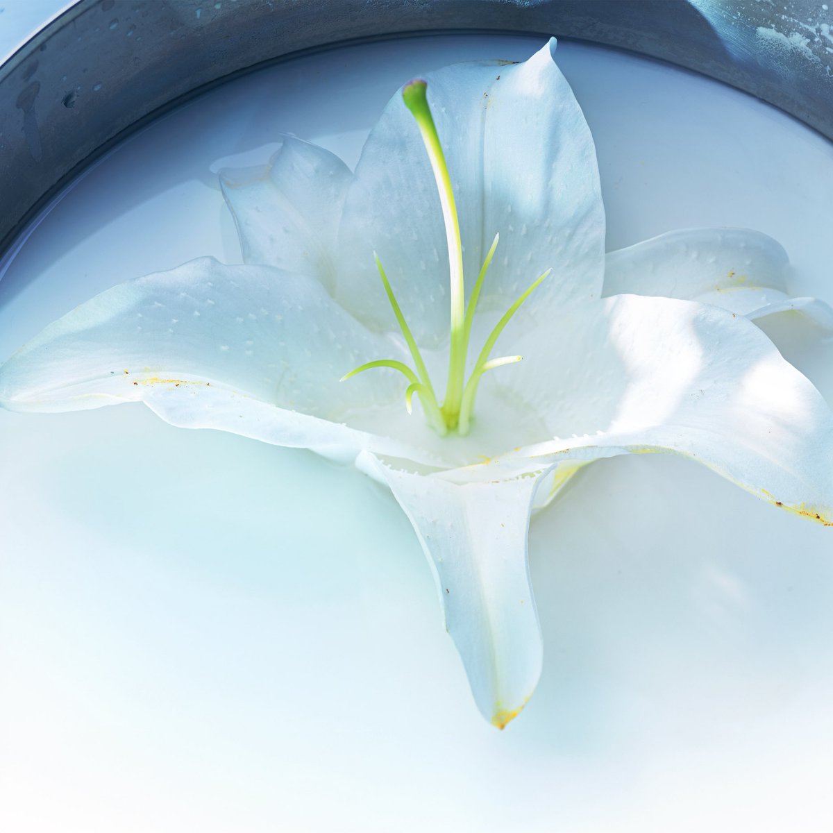 海🦕 (@yoi9machi27) / Posts / X