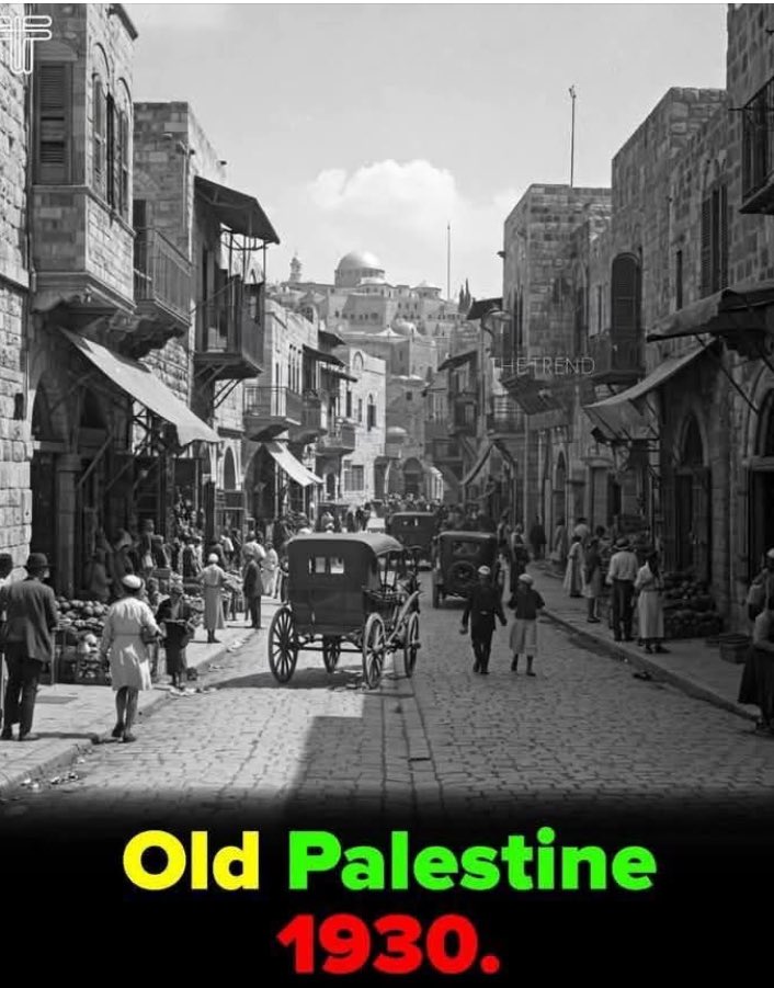 From the river to the sea #Palestine will be free. ❤️#Gaza