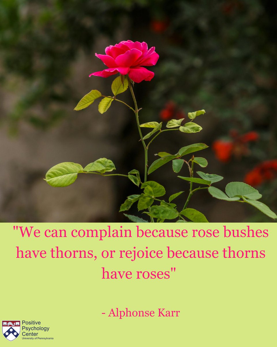 authentichappiness.sas.upenn.edu