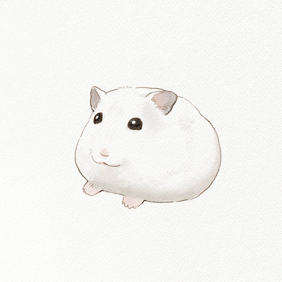 찹쌀떡