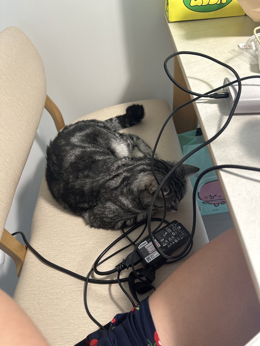 conandoylecat's tweet photo. 원체 SNS를 눈팅만 하는 사람이라
계정을 굴리는게 죄송스럽습니다..만
도일이는 건강하고 행복하게 잘 지냅니당
사진이나 영상이 덜 올라가 죄송하네요
저는 가끔가끔 소식 전하겠습니다
행복가득하시구 건강하세요..💕 https://t.co/o1RcPq3bbx