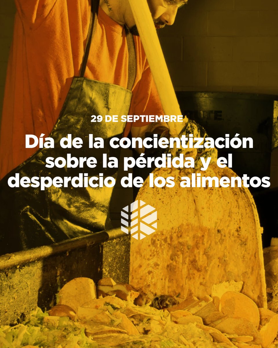 ℹ️ 1/3 de los alimentos producidos en el mundo se desperdicia.
Hoy, una vez más, renovamos el compromiso de la industria molinera con una producción eficiente y responsable, trabajando para optimizar procesos y reducir ese impacto. 🍞💚