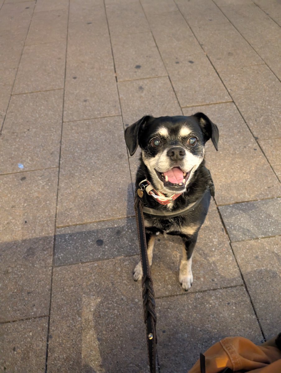 Mrs Whathefucksit tweet media