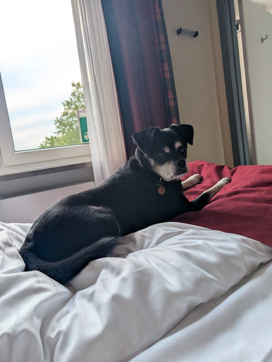 Mrs Whathefucksit tweet media