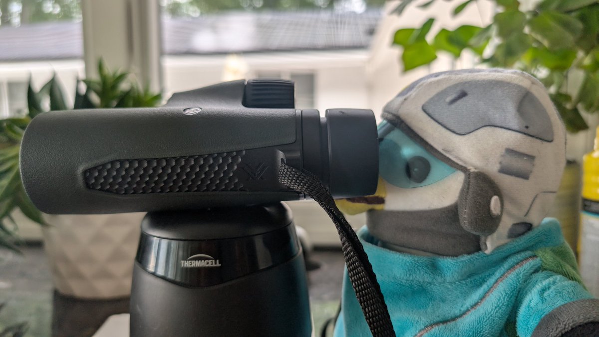 pico_sc's tweet image. Pico is on the lookout 

#StarCitizen
