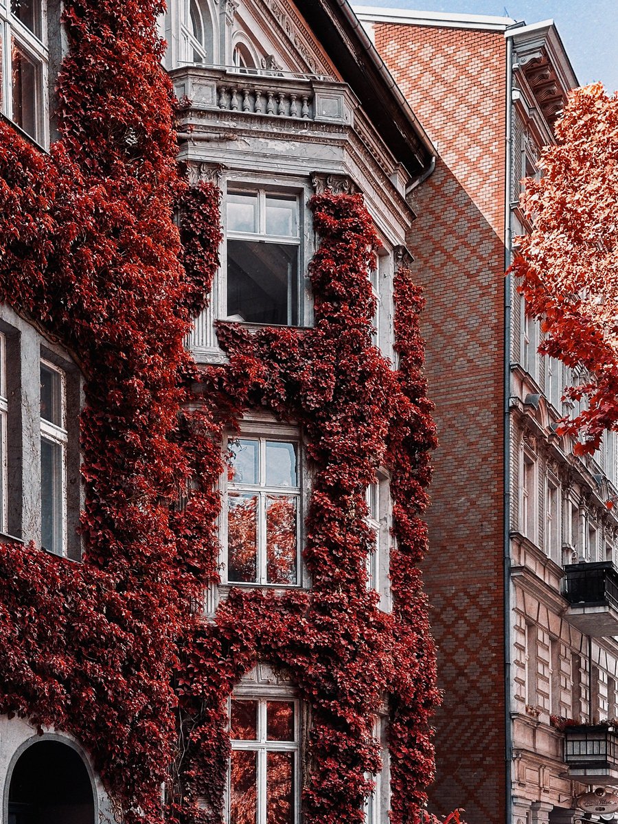Gm Gm - happy new week 🖤☕️
Weather fully arrived in autumn finally!
(this picture is not from this year, everything's still very green here 😅😁)

"Autumn", 5.90 XTZ
🔗⬇️