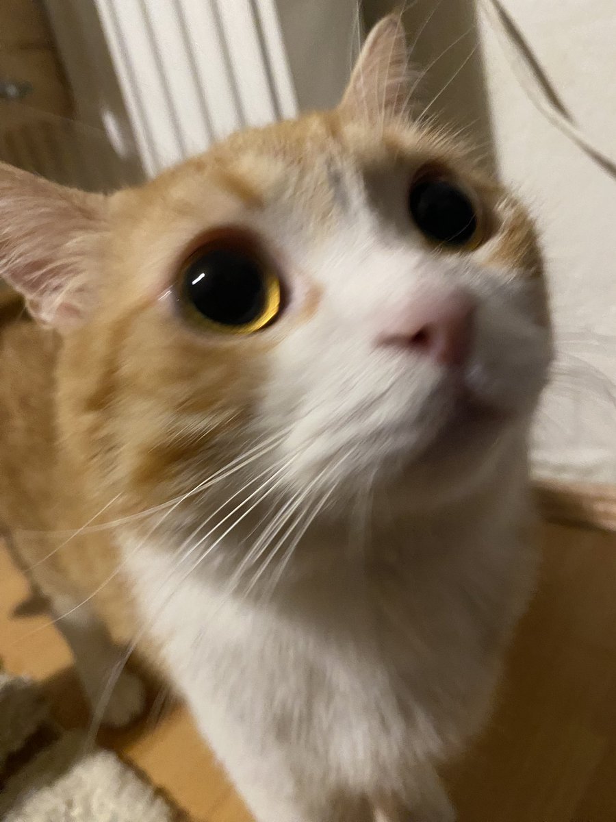 yaşmama versen noluryaaaa