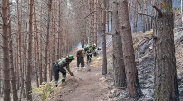 GuDiario's tweet photo. Los forestales indignados con la gestión del incendio de Peñalba: "Tienen un morro que se lo pisan” https://t.co/LeL6TZXCWj
 #IFPeñalbadelaSierra @JCCMGuadalajara #Guadalajara https://t.co/MuR1caVsIH