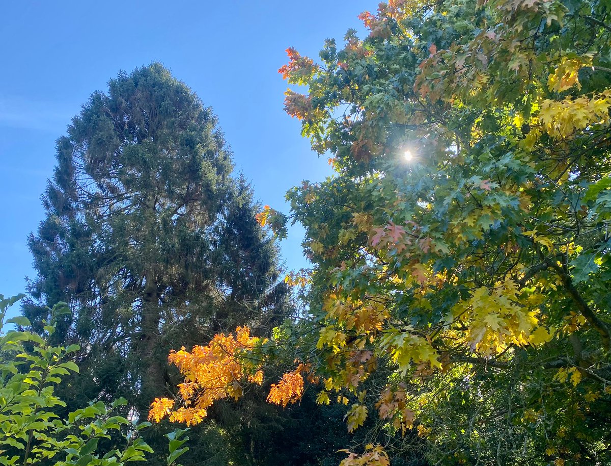 Through every season, the gardens at Middlethorpe Hall remain the heart of our historic house. 
From colourful borders to sweeping lawns and peaceful corners, each visit reveals something new to discover.
bit.ly/2Gb45wS