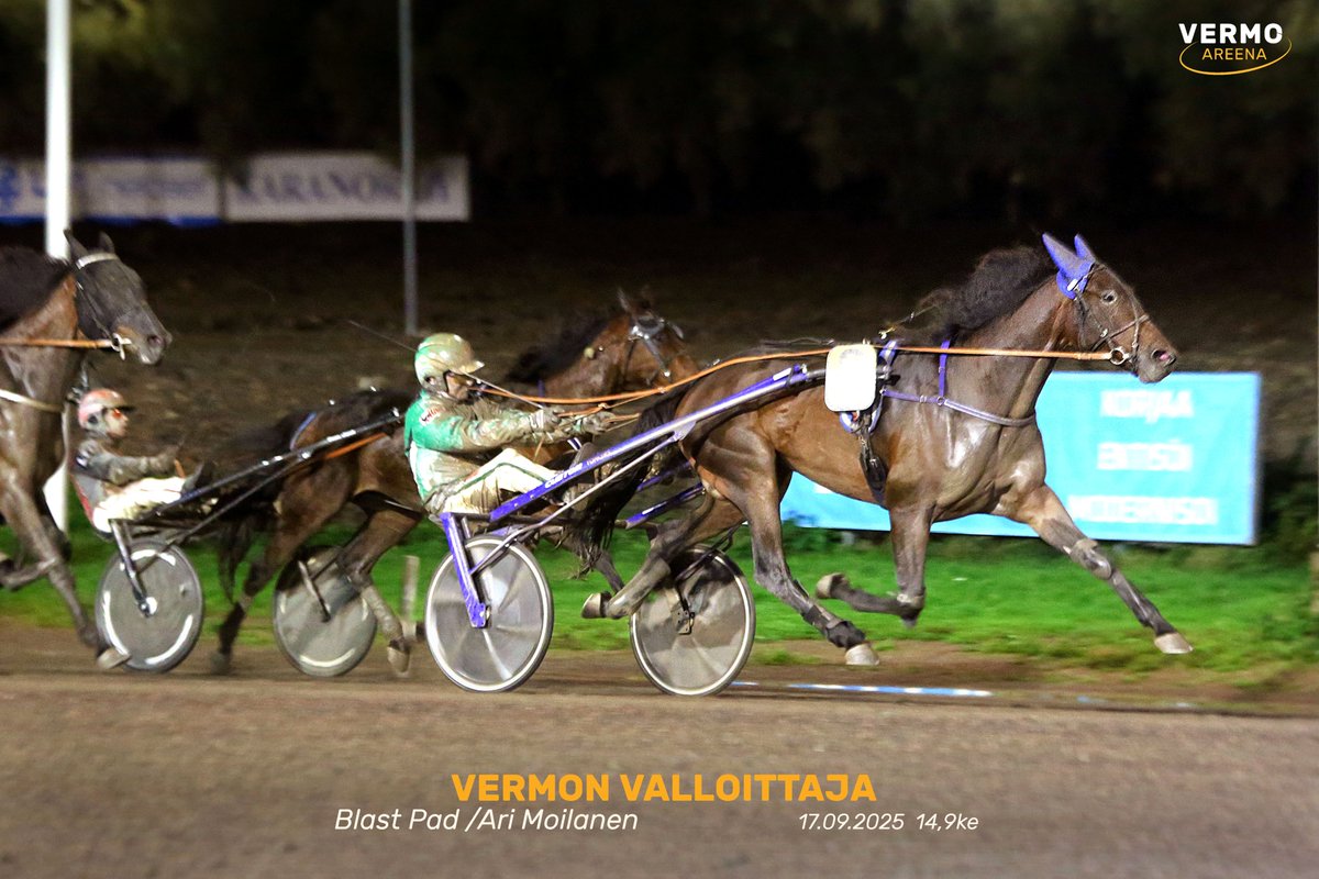 Keskiviikkona ravataan - illan kohokohtana on TammaCupin finaali 8000 euron ykköspalkinnolla.
Karsintavoittajat kohtaavat 12 muuta kovaa tammaa kahden paalun tasoitusajossa.
Kymmenen hevoslähdön kisat käynnistyvät klo 18.
Lue lisää illan sportista: vermo.fi/fi-fi/article/…
#ravit