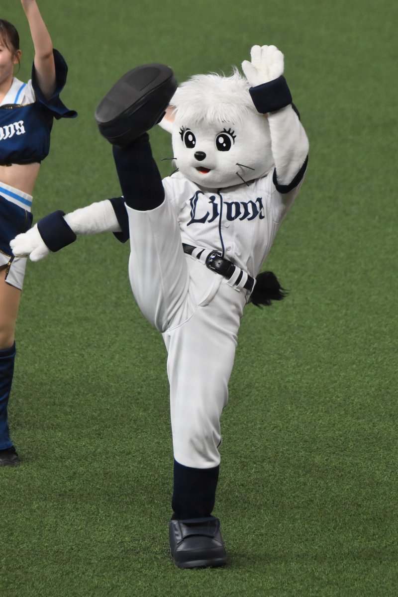 今年最後の脚上げライナさんです